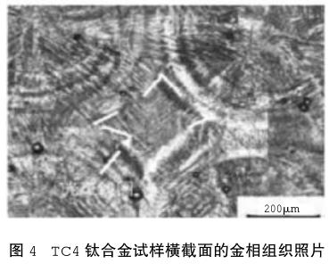 1686235607288079.jpg t4.jpg