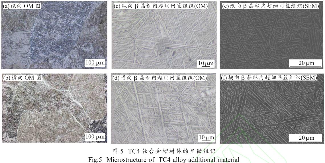 1706191518421135.jpg t5.jpg