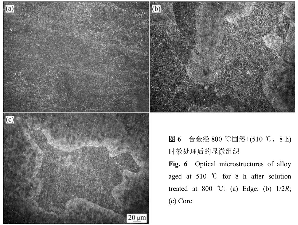 1700405098151045.jpg t6.jpg