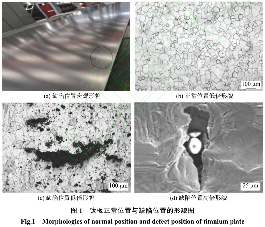 1713104740375646.jpg t1.jpg