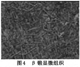 1713134686344324.jpg 360截圖16300428545563.jpg