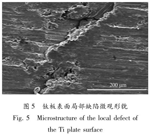 1705999533550906.jpg t5.jpg