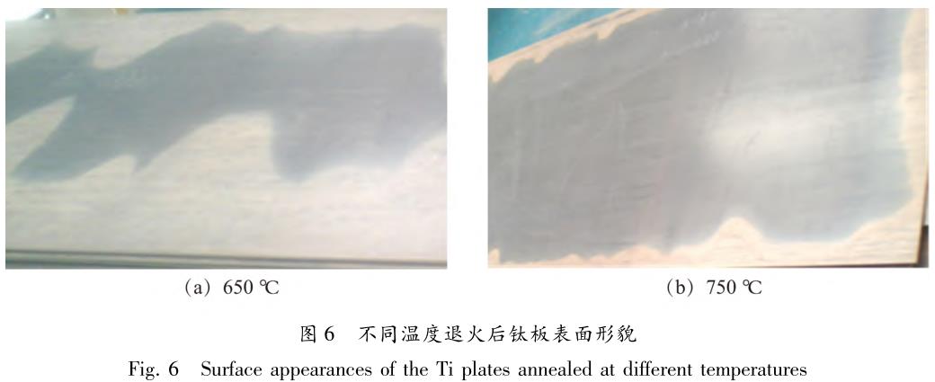 1705999545457118.jpg t6.jpg