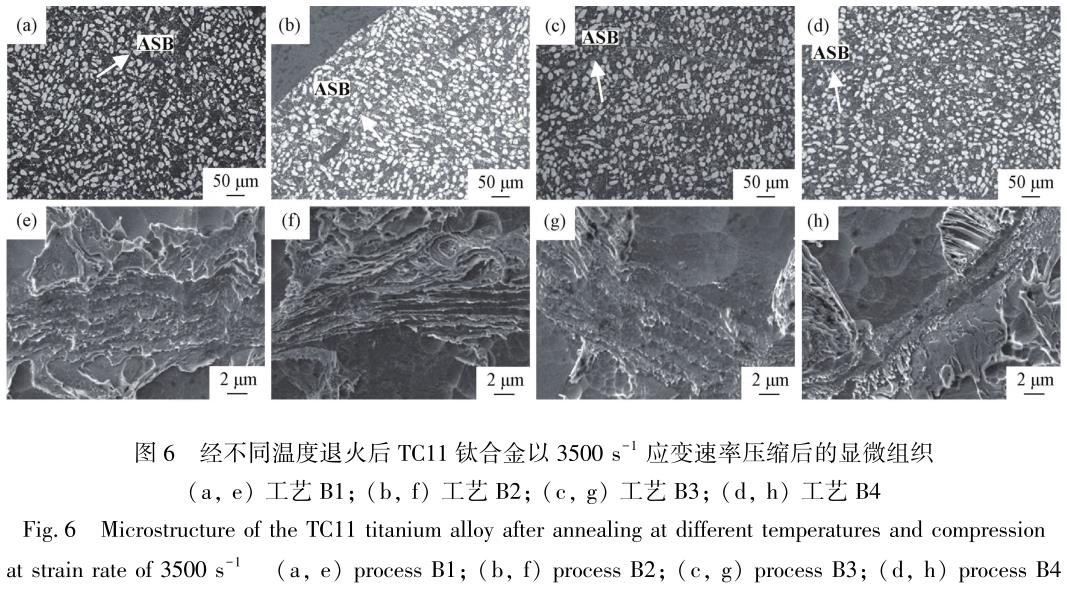 1708354391901831.jpg t6.jpg