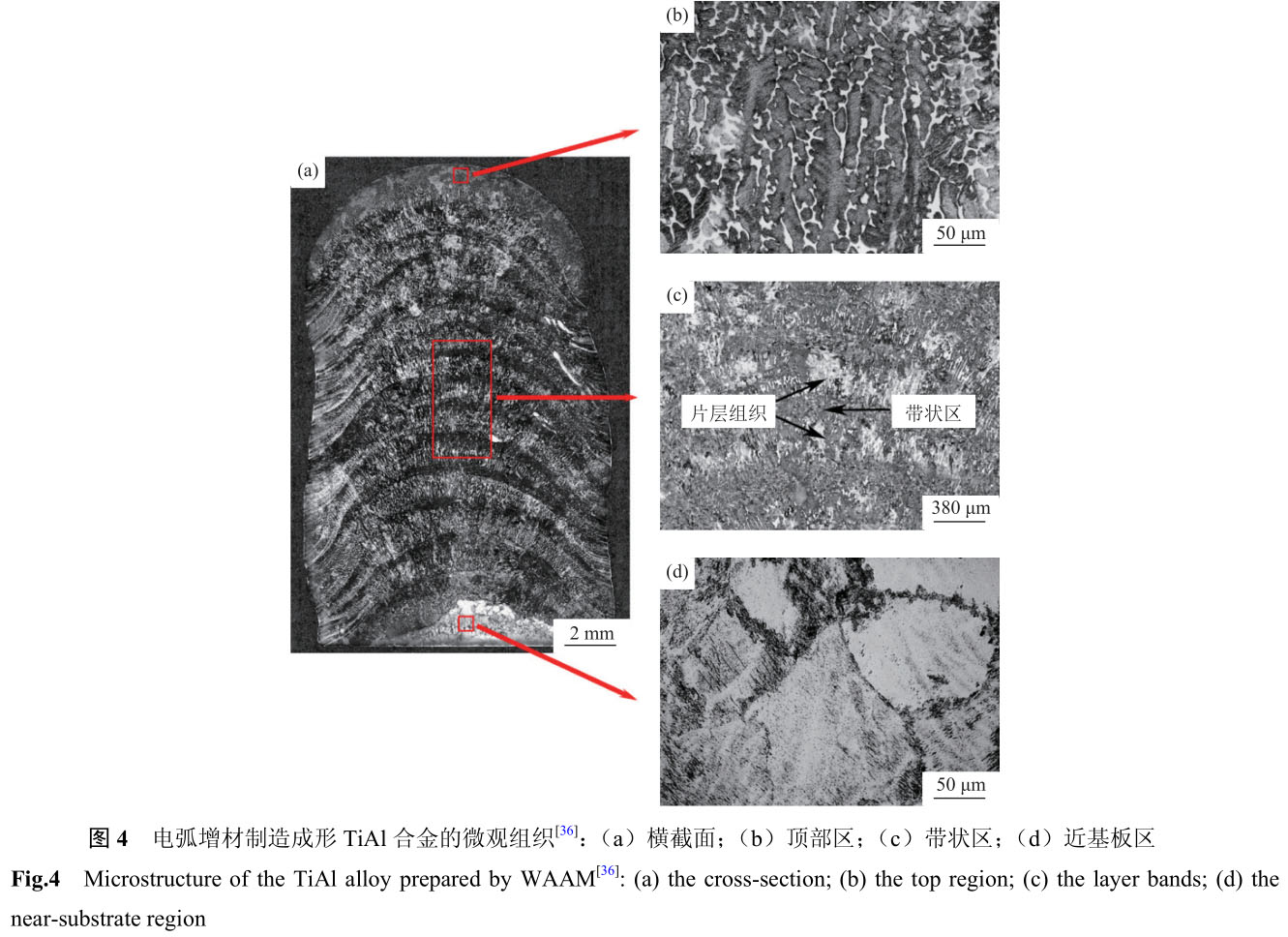 1721463989495249.jpg 未標(biāo)題-2.jpg