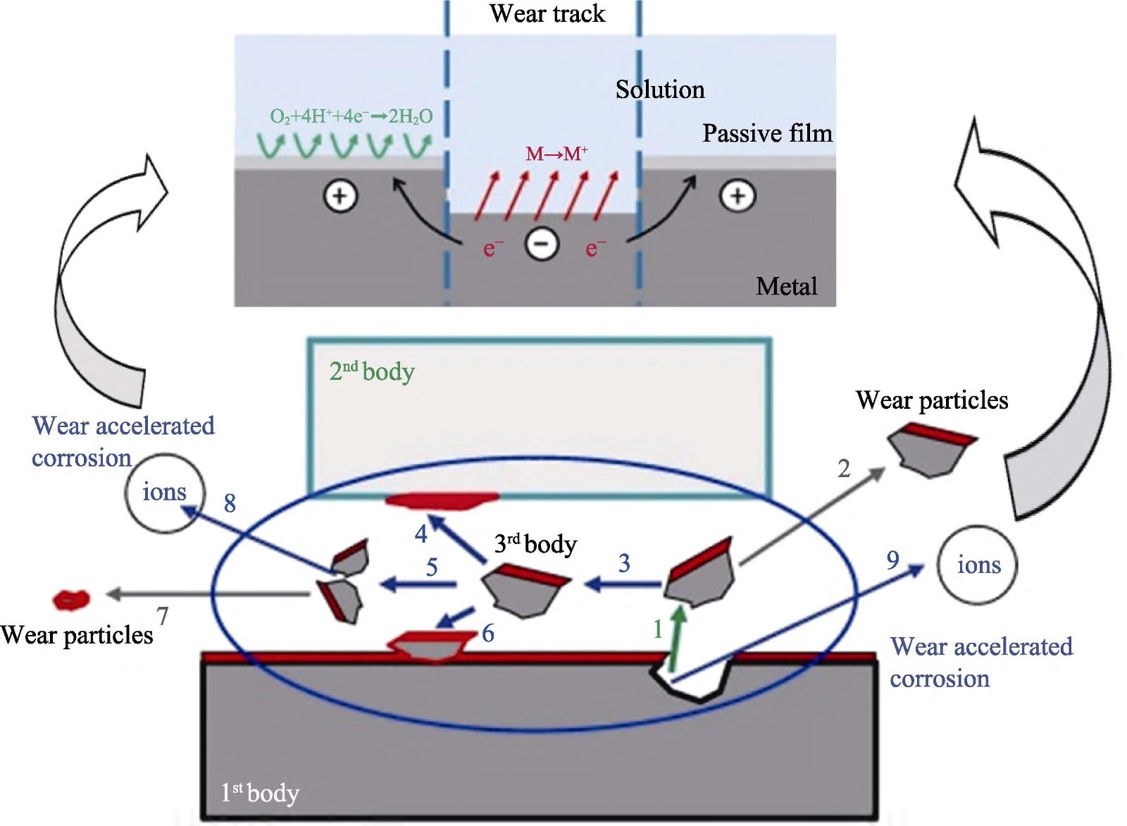 1709435599452388.jpg 2.jpg