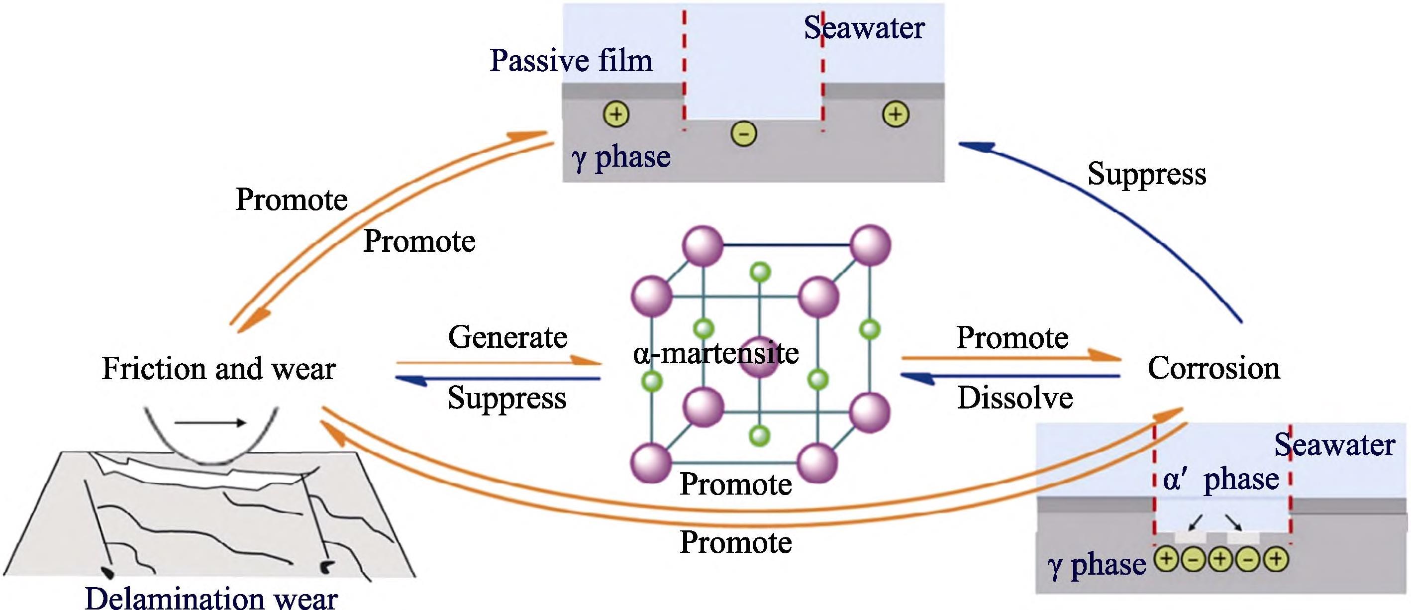 1709435651121823.jpg 4.jpg