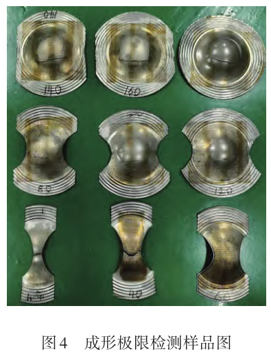 1729825263835758.jpg t4.jpg