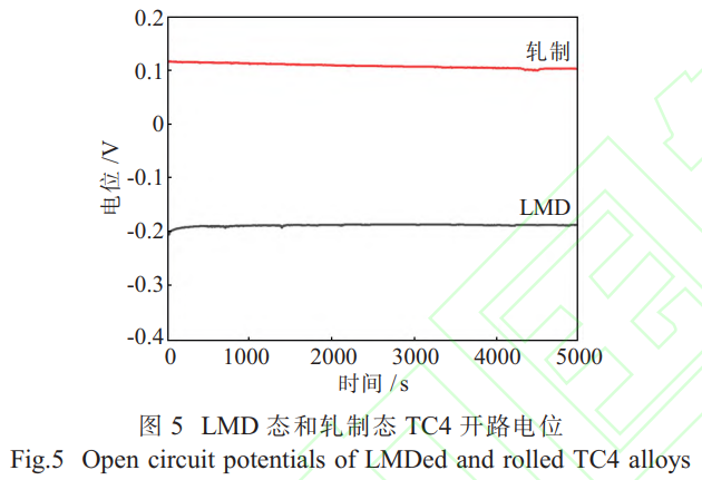 1734878074596104.png 5.png