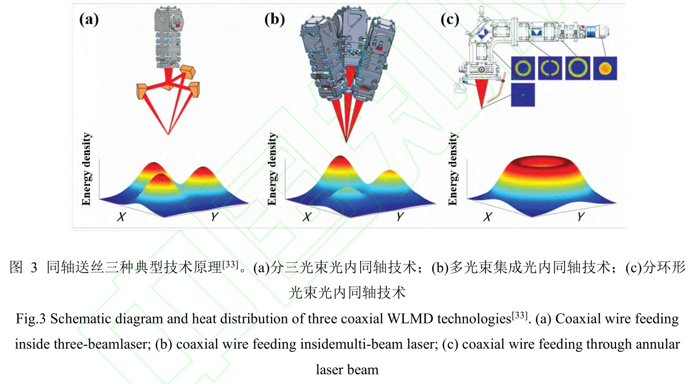 1735007764599663.jpg 3.jpg