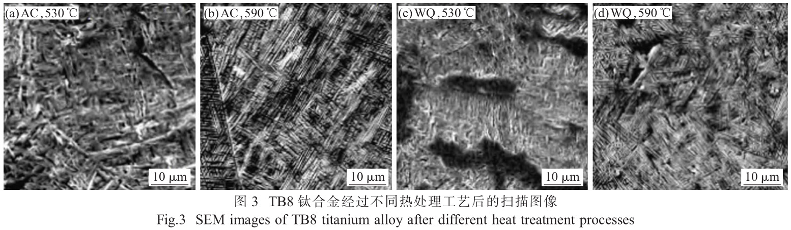 1735116769453592.jpg 3.jpg