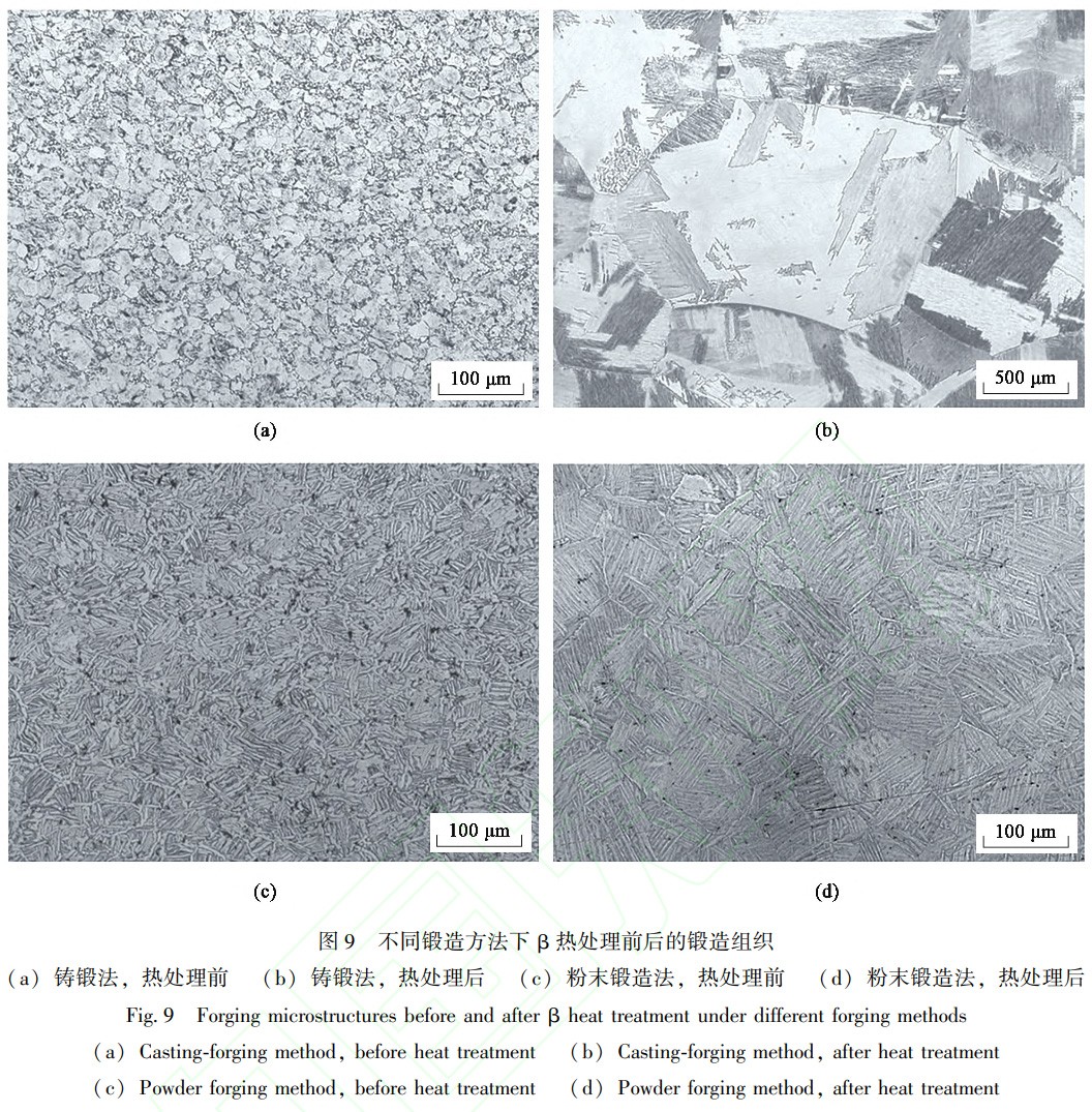 1737989648165834.jpg 9.jpg