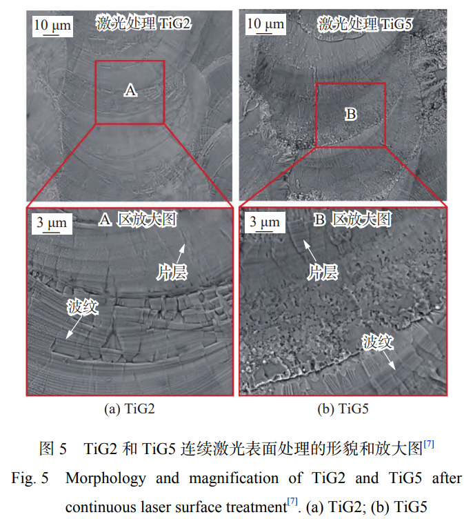 1739288367713517.jpg 5.jpg