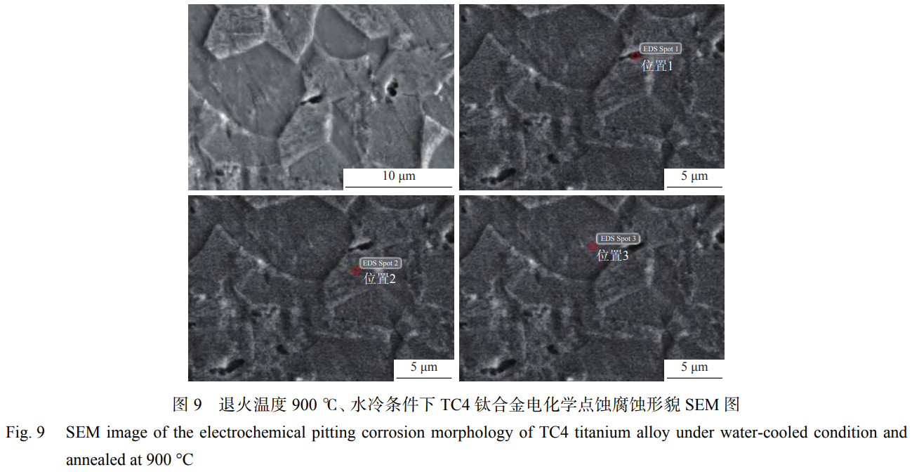 1763905564555020.jpg 未標(biāo)題-4.jpg